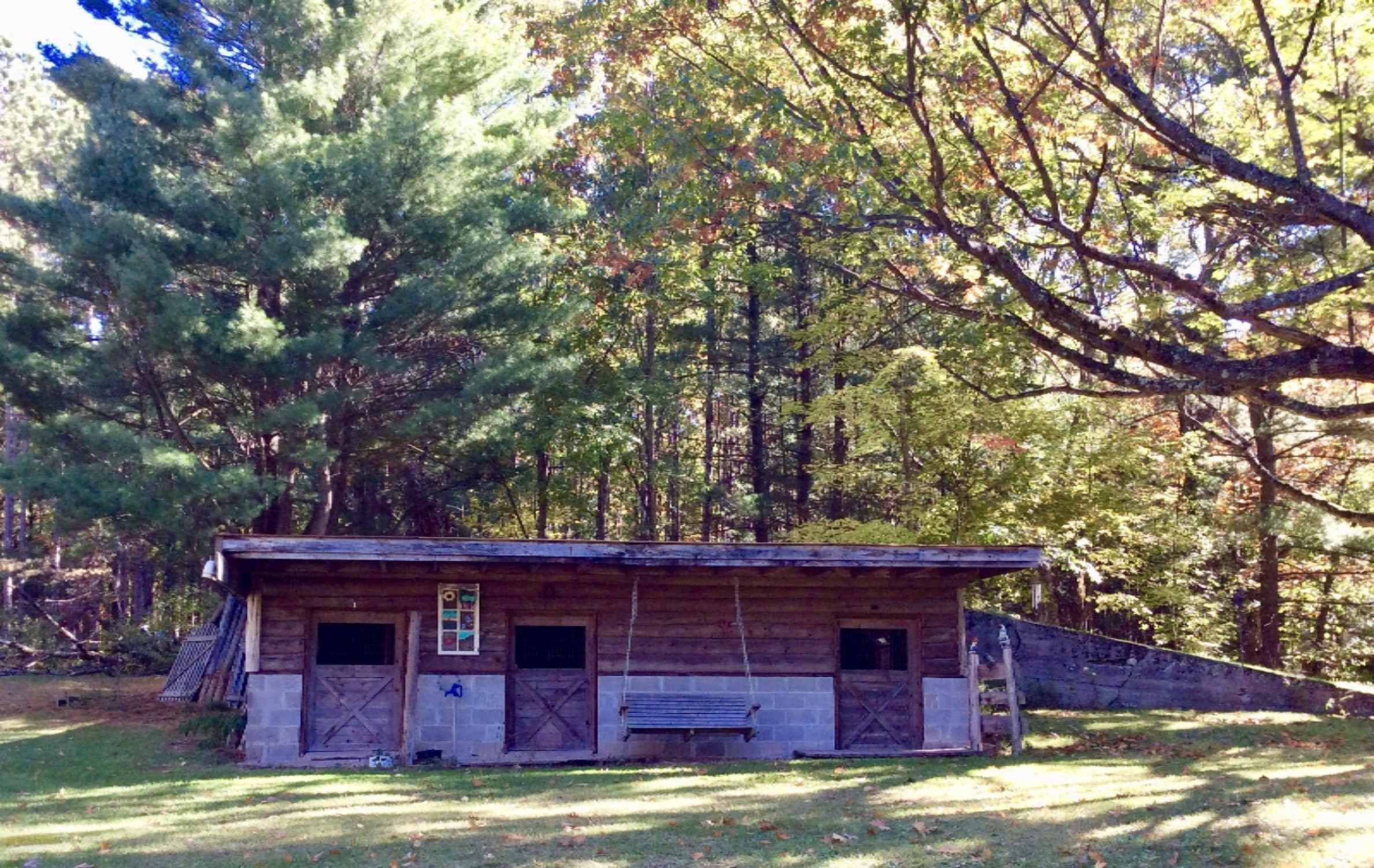 12412 Griffith Road Brethren, MI 49619 - Photo 40 of 66 Barn