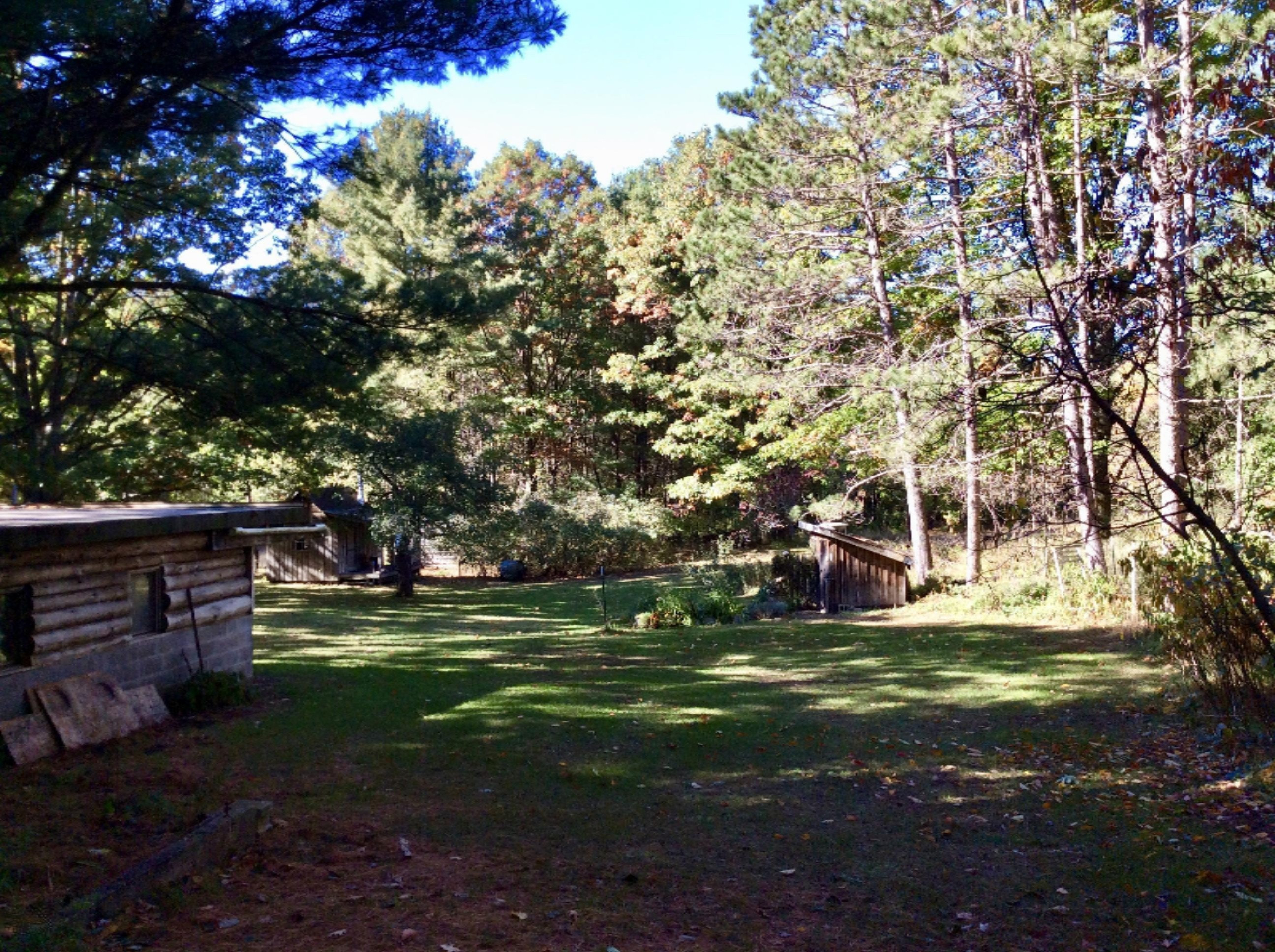 12412 Griffith Road Brethren, MI 49619 - Photo 43 of 66 View of yard North of Barn