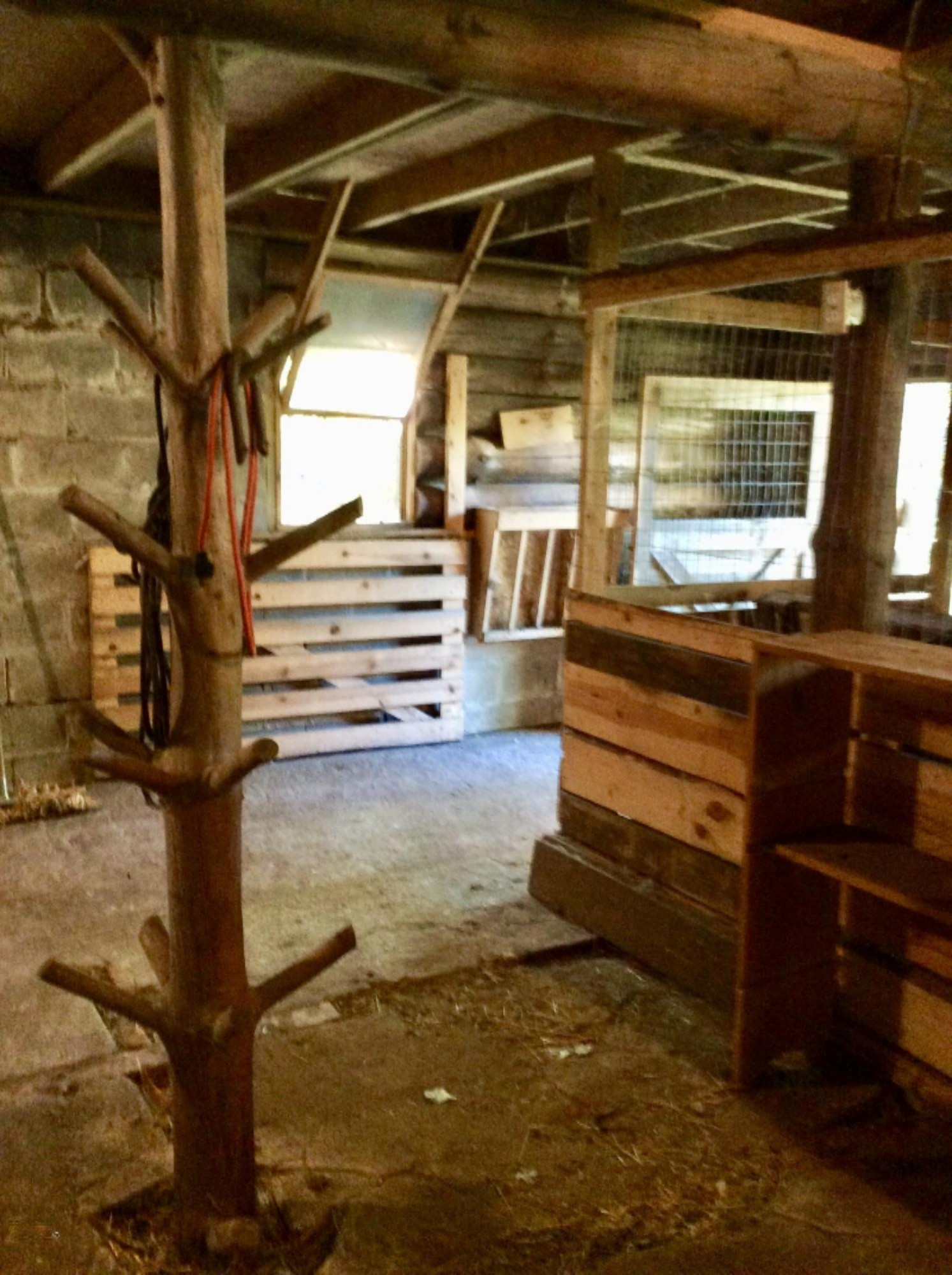 12412 Griffith Road Brethren, MI 49619 - Photo 45 of 66 Interior of Barn