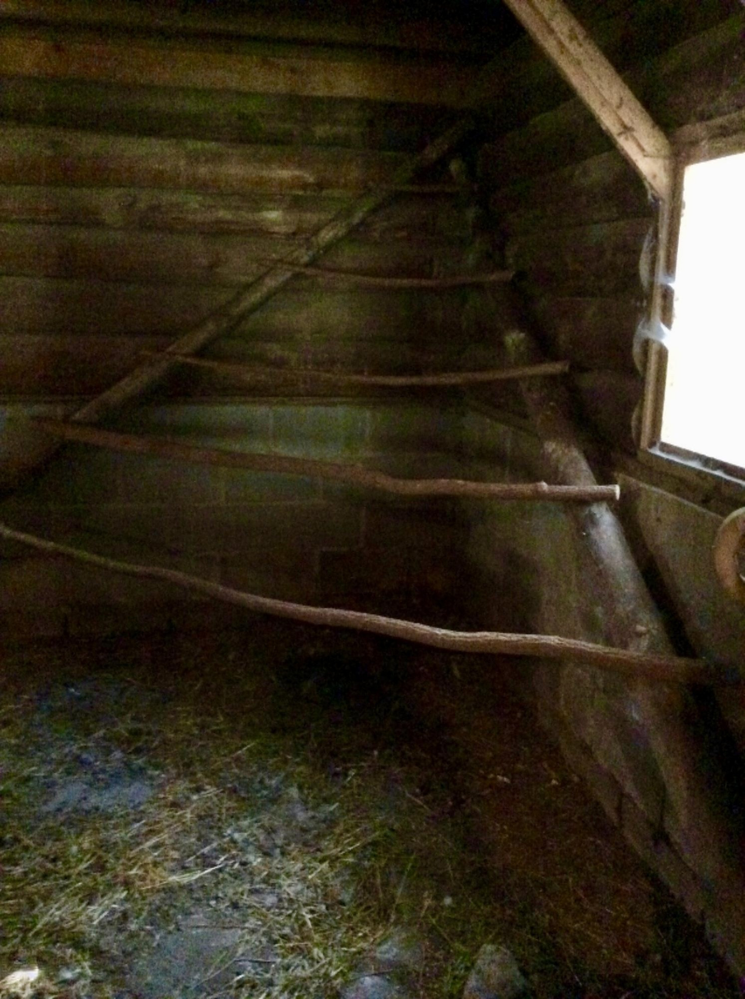 12412 Griffith Road Brethren, MI 49619 - Photo 46 of 66 Roosting area of Barn