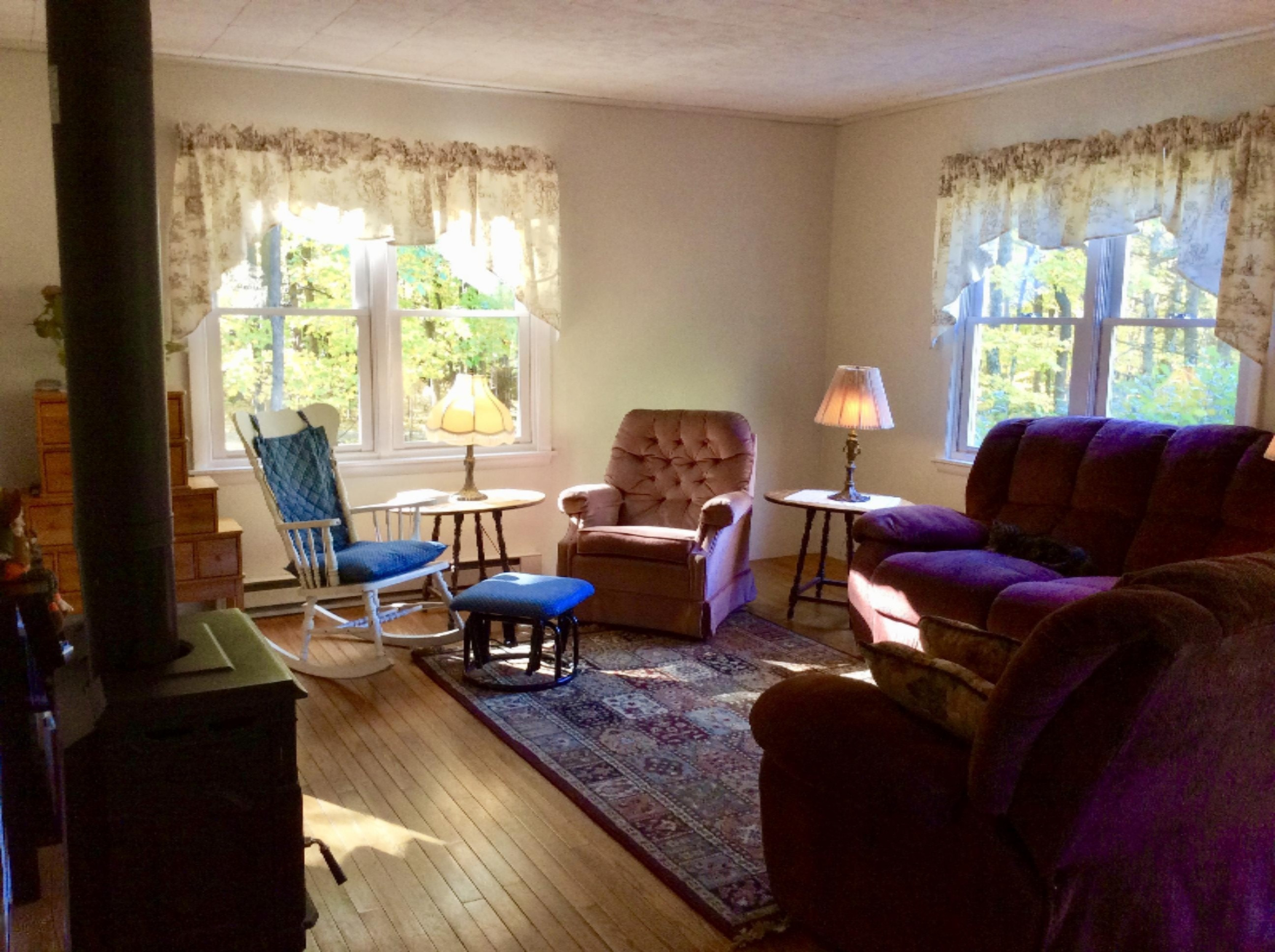 12412 Griffith Road Brethren, MI 49619 - Photo 5 of 66 Living room