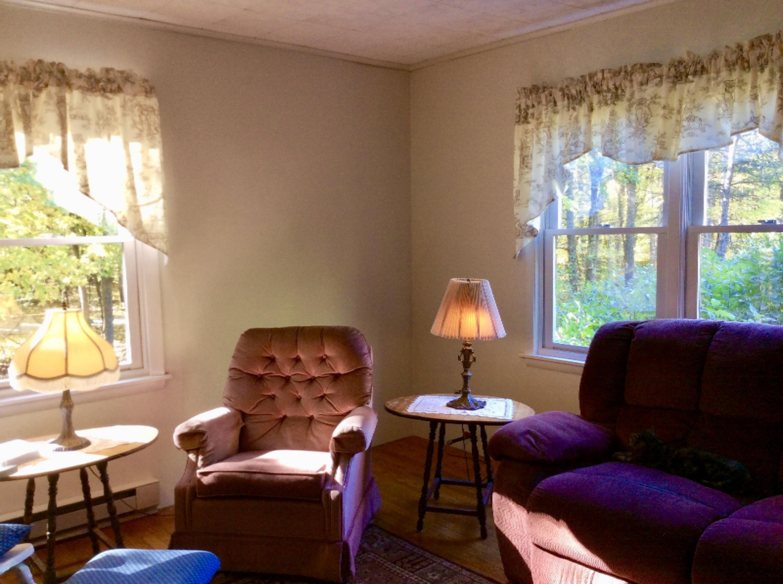 12412 Griffith Road Brethren, MI 49619 - Photo 6 of 66 Living Room