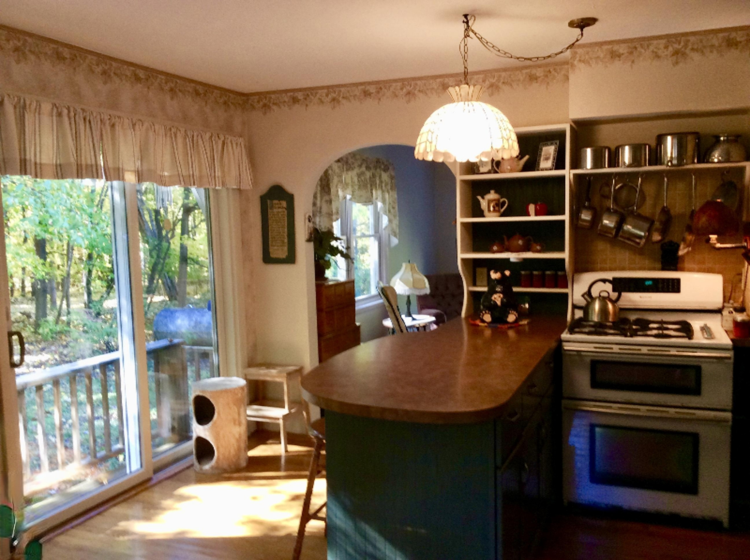 12412 Griffith Road Brethren, MI 49619 - Photo 10 of 66 Kitchen