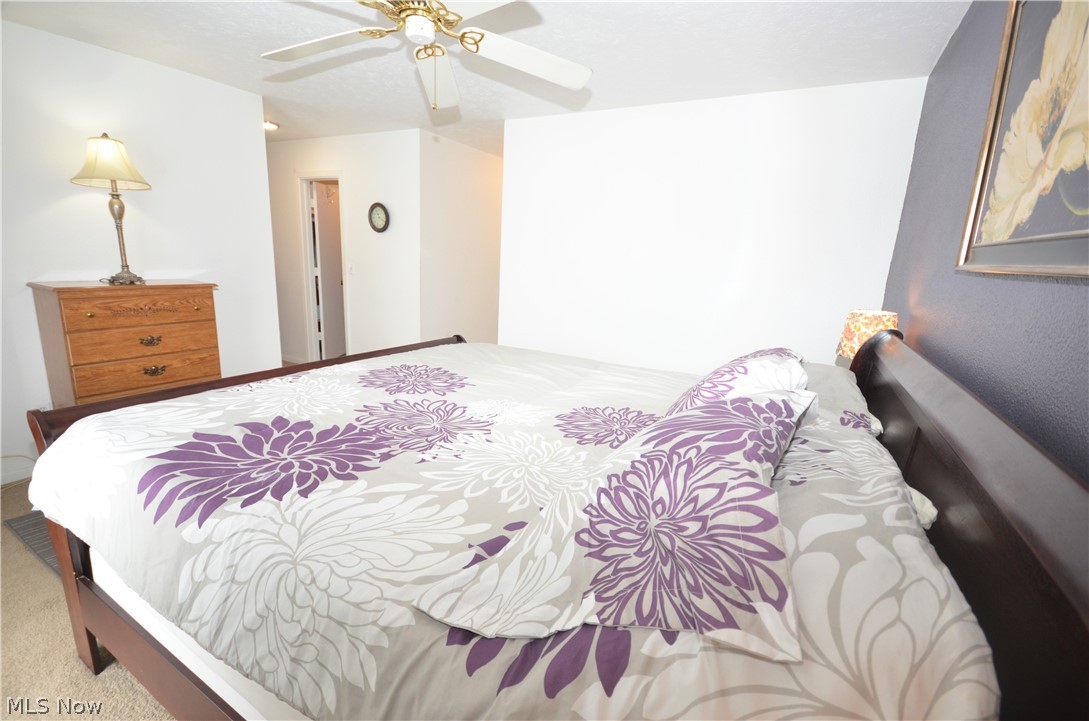 7716 Frailey Road Vermilion, OH 44089 - Photo 16 of 28 Owner's suite is expansive with walk-in closet and attached bath