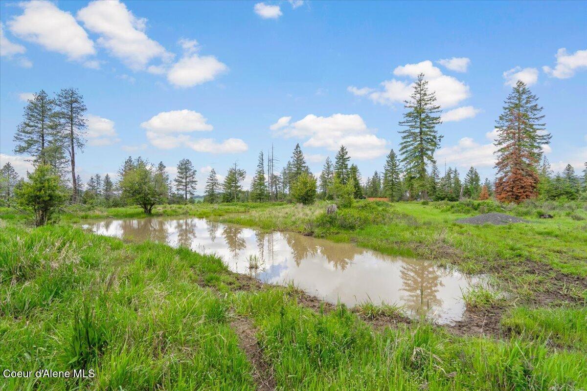 572 Foote Road Desmet, ID 83824 - Photo 24 of 38 Plenty of Water on Property