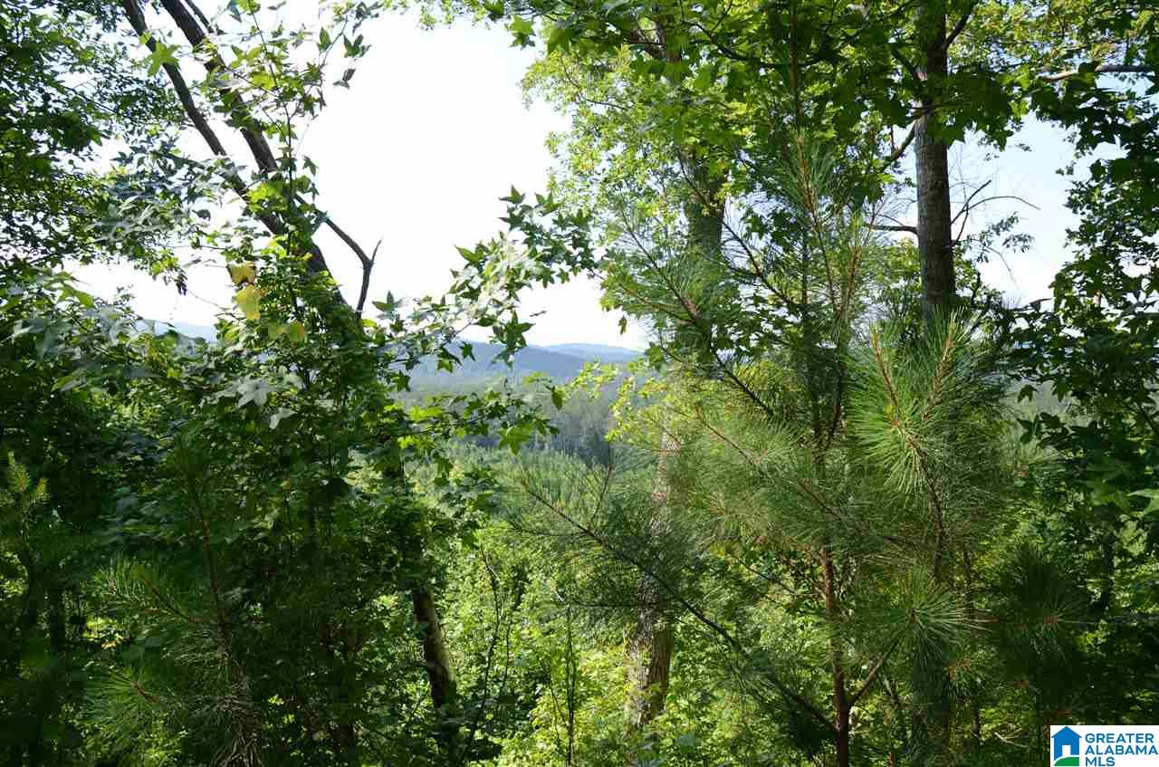 10098 County Road 55, Unit 24 ACRES Fruithurst, AL 36262 - Photo 24 of 27