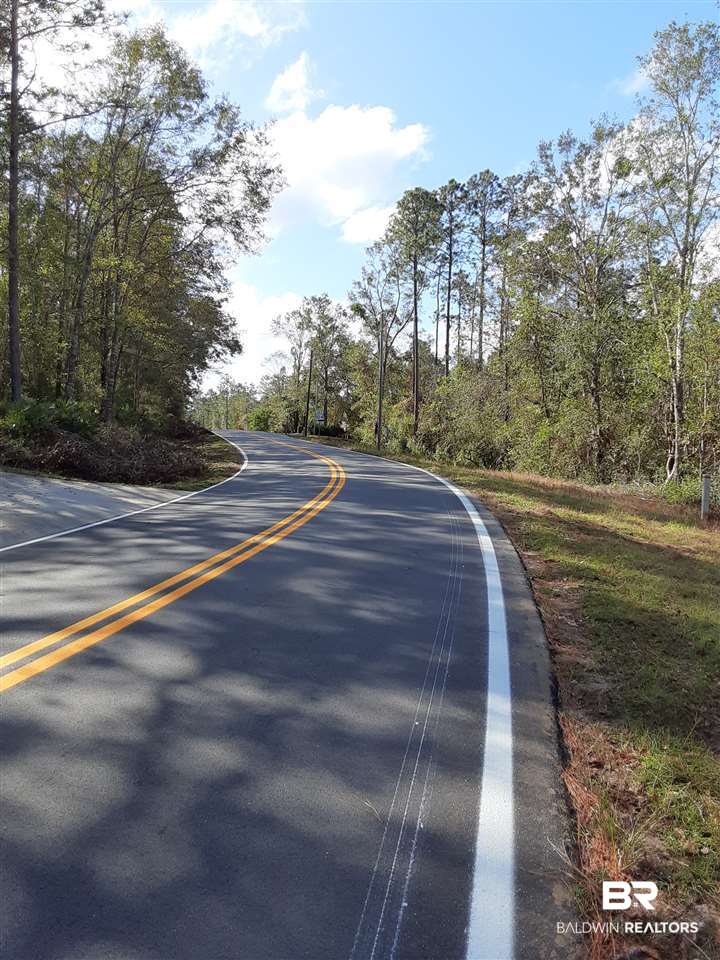 0 McPhillips Road Loxley, AL 36551 - Photo 2 of 27