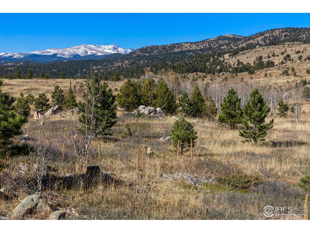 Owl Creek Road Boulder, CO 80302 - Photo 8 of 19 Gallery Image 8