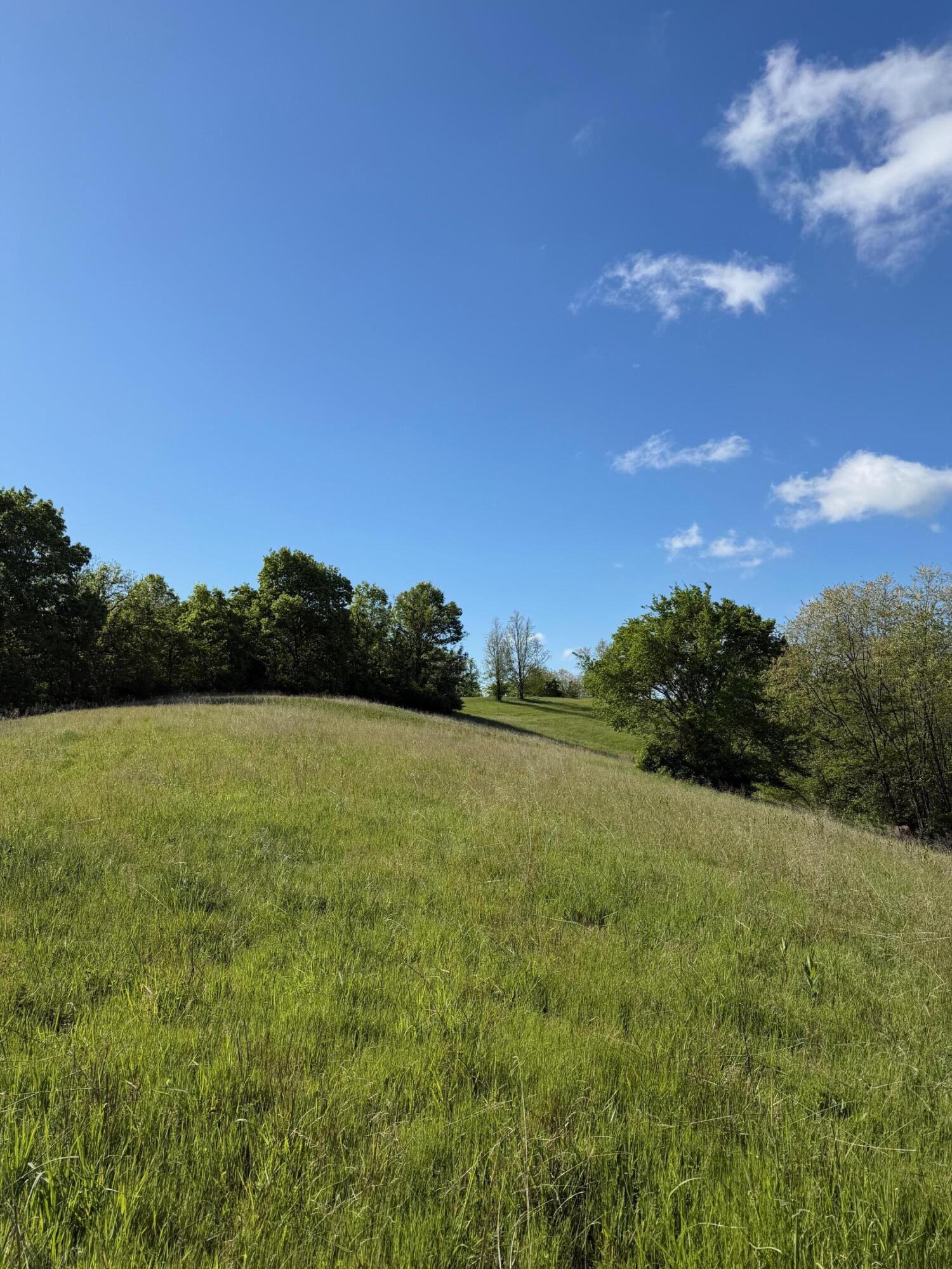 11.19-ac Chipman Ridge Road Williamstown, KY 41097 - Photo 7 of 12