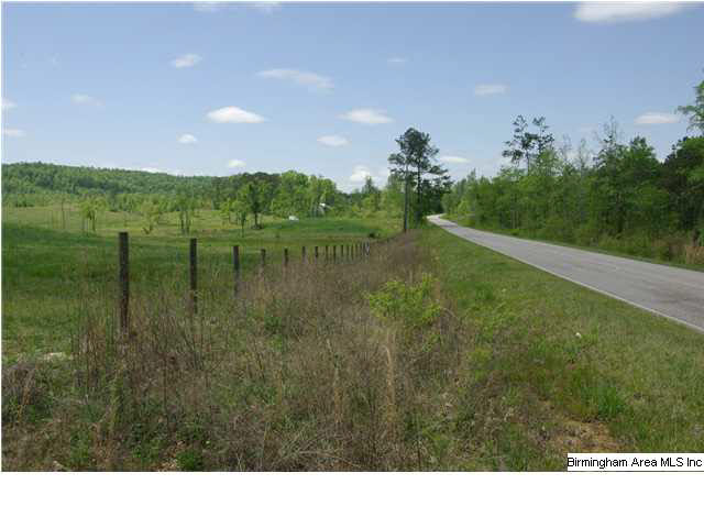Shoal Creek Road, Unit 56 Ashville, AL 35953 - Photo 3 of 21