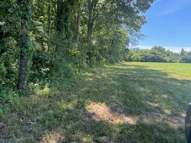 a yard of a house with a yard