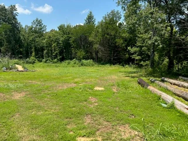 a view of a grassy area with an trees