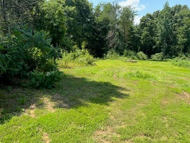 a view of outdoor space with a garden and trees