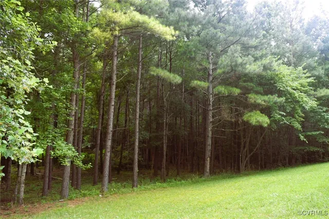 $330,000 | 81 North Hardtimes Drive, Prospect, VA 23960