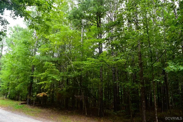 $330,000 | 81 North Hardtimes Drive, Prospect, VA 23960