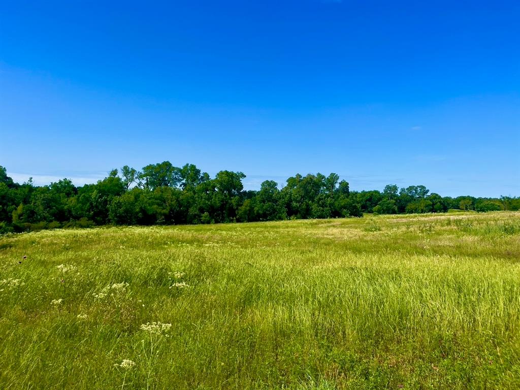 Lot 69 Kilkenny Road Poolville, TX 76487 - Photo 5 of 12