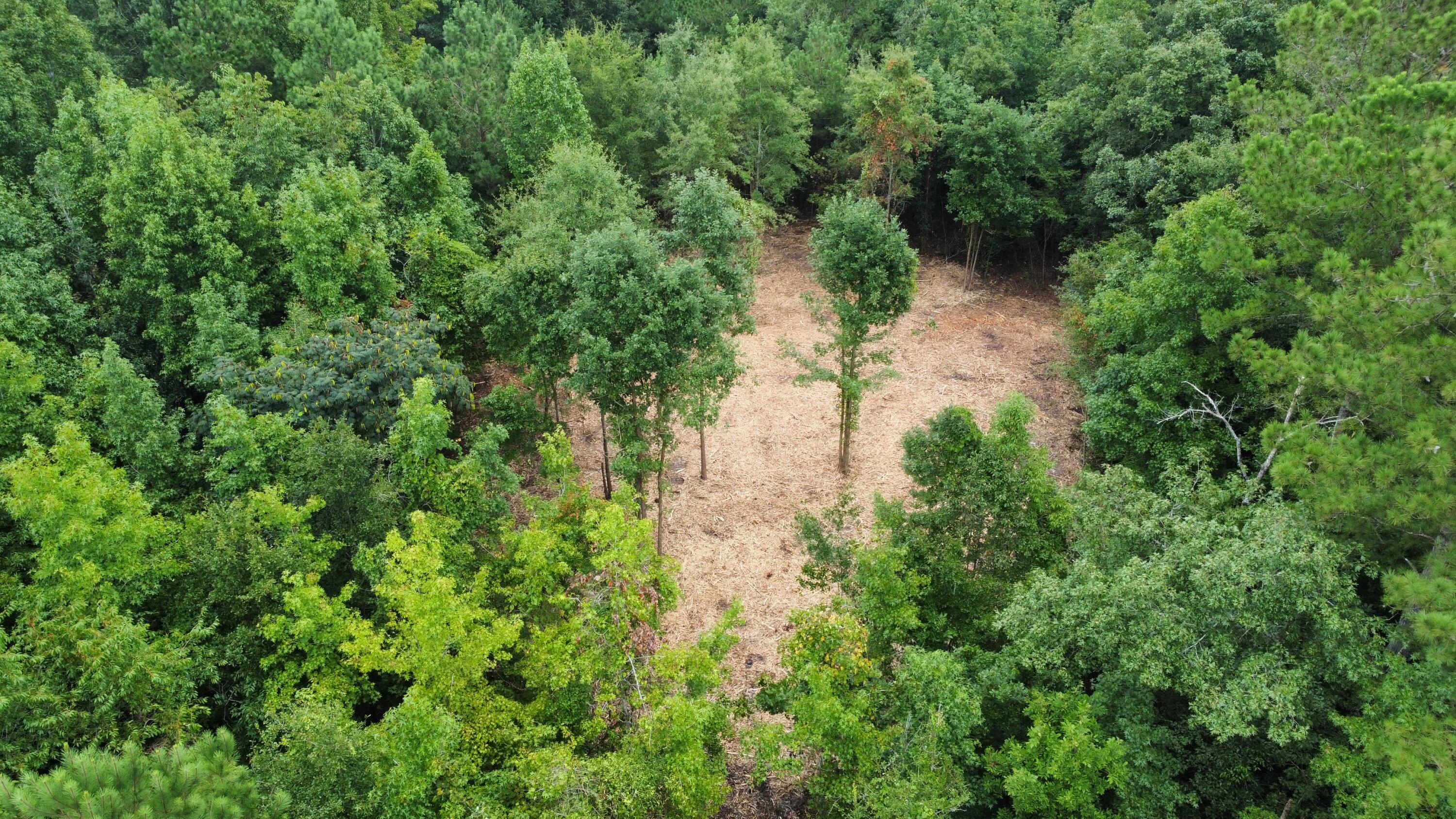 dji_fly_20240813_103314_367_172355960065