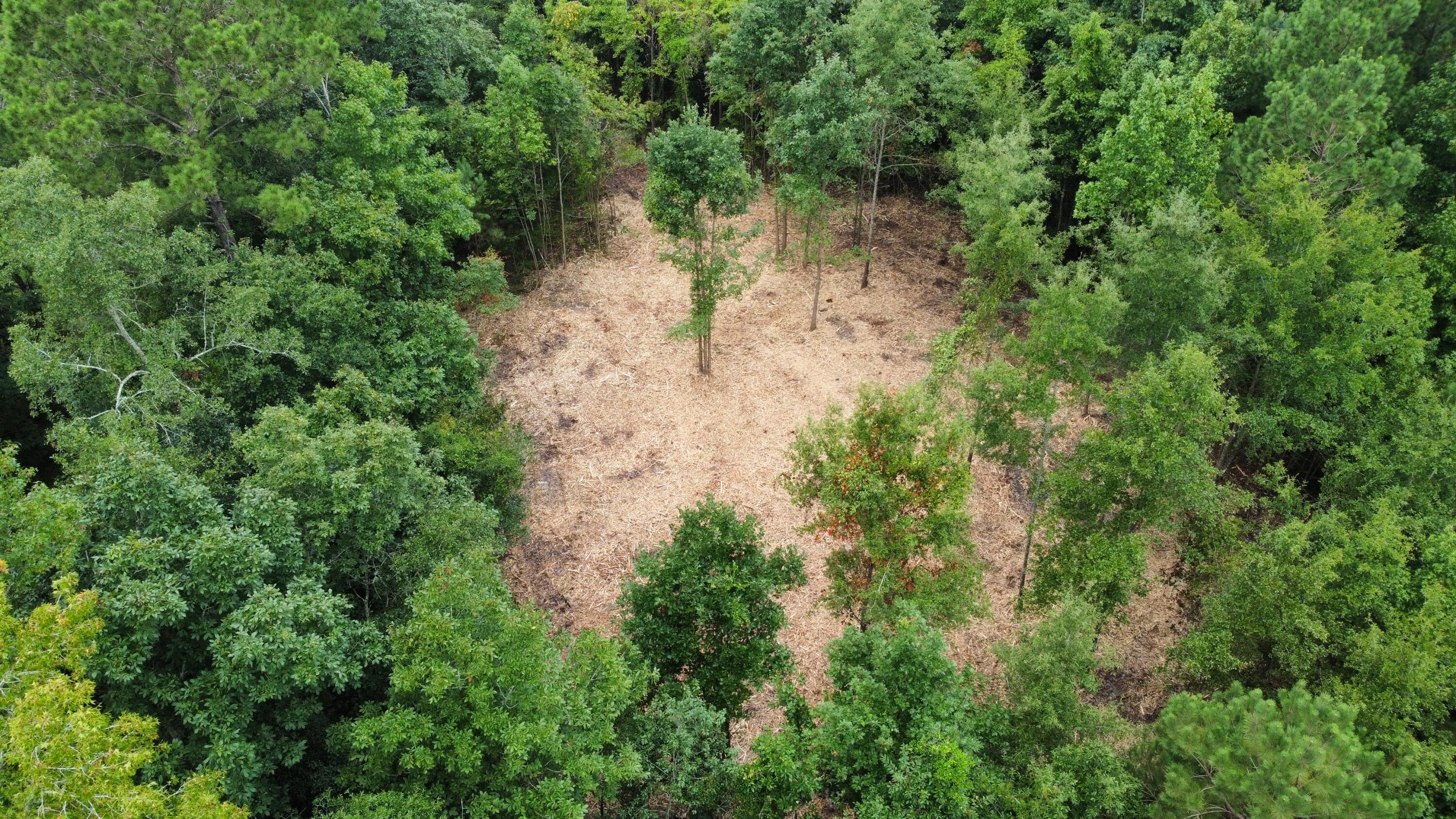 0 Creek Road Reevesville, SC 29471 - Photo 4 of 9 dji_fly_20240813_103418_370_172355966572