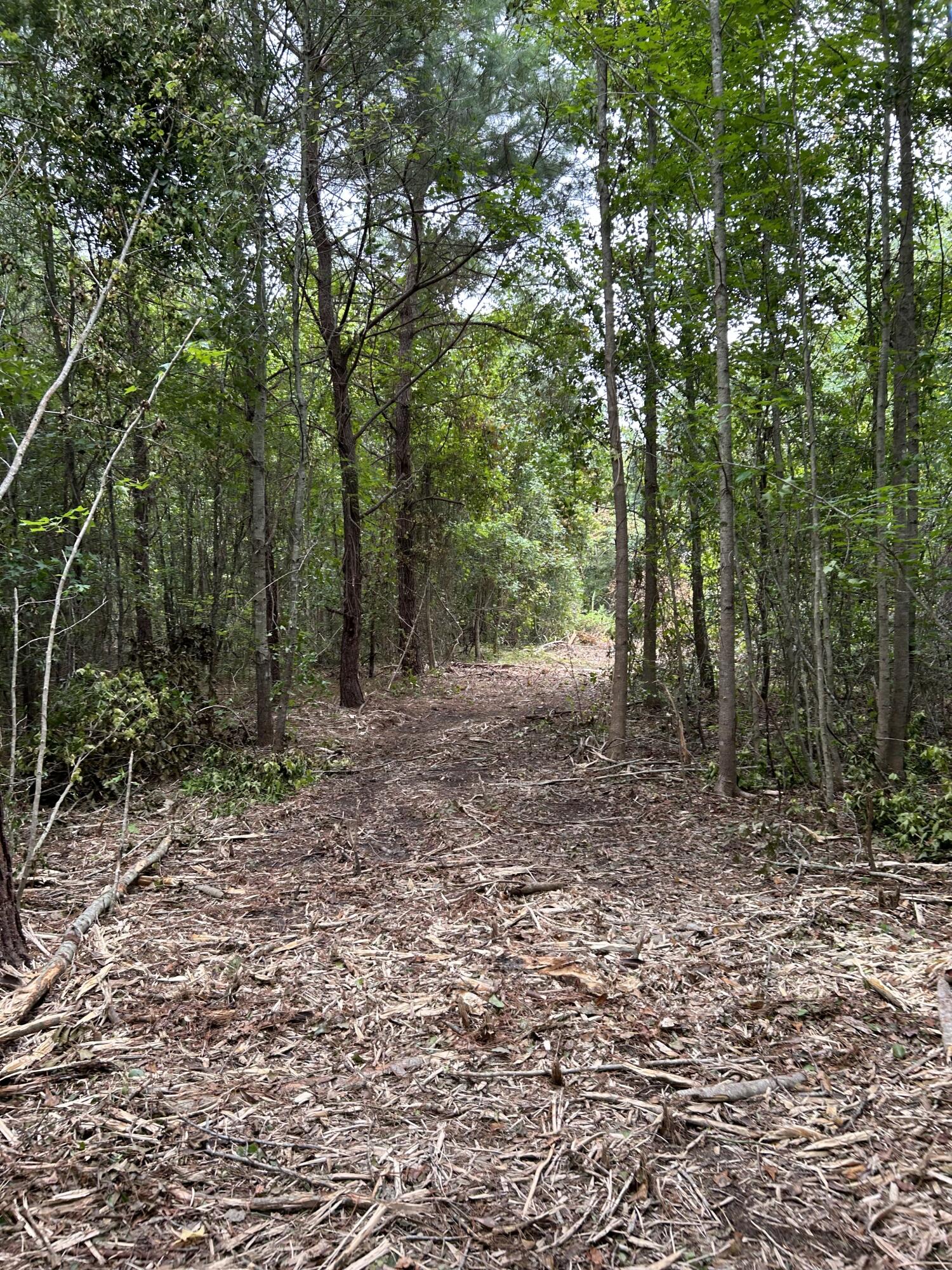 0 Creek Road Reevesville, SC 29471 - Photo 6 of 9 IMG_3200