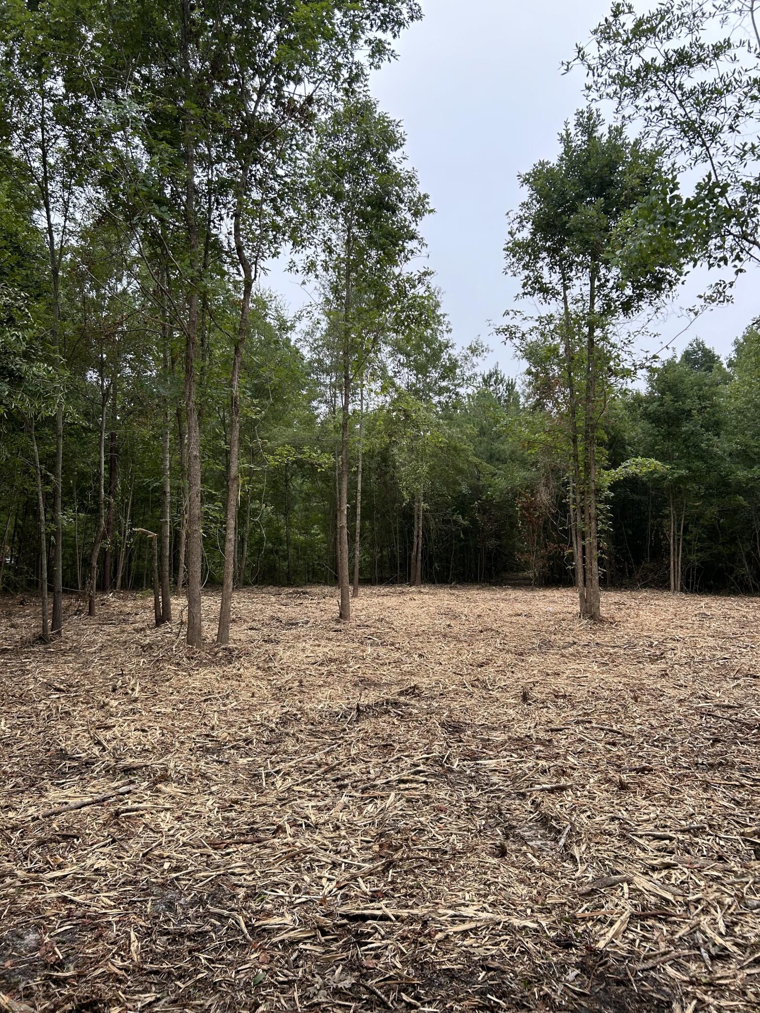 0 Creek Road Reevesville, SC 29471 - Photo 7 of 9 IMG_3196