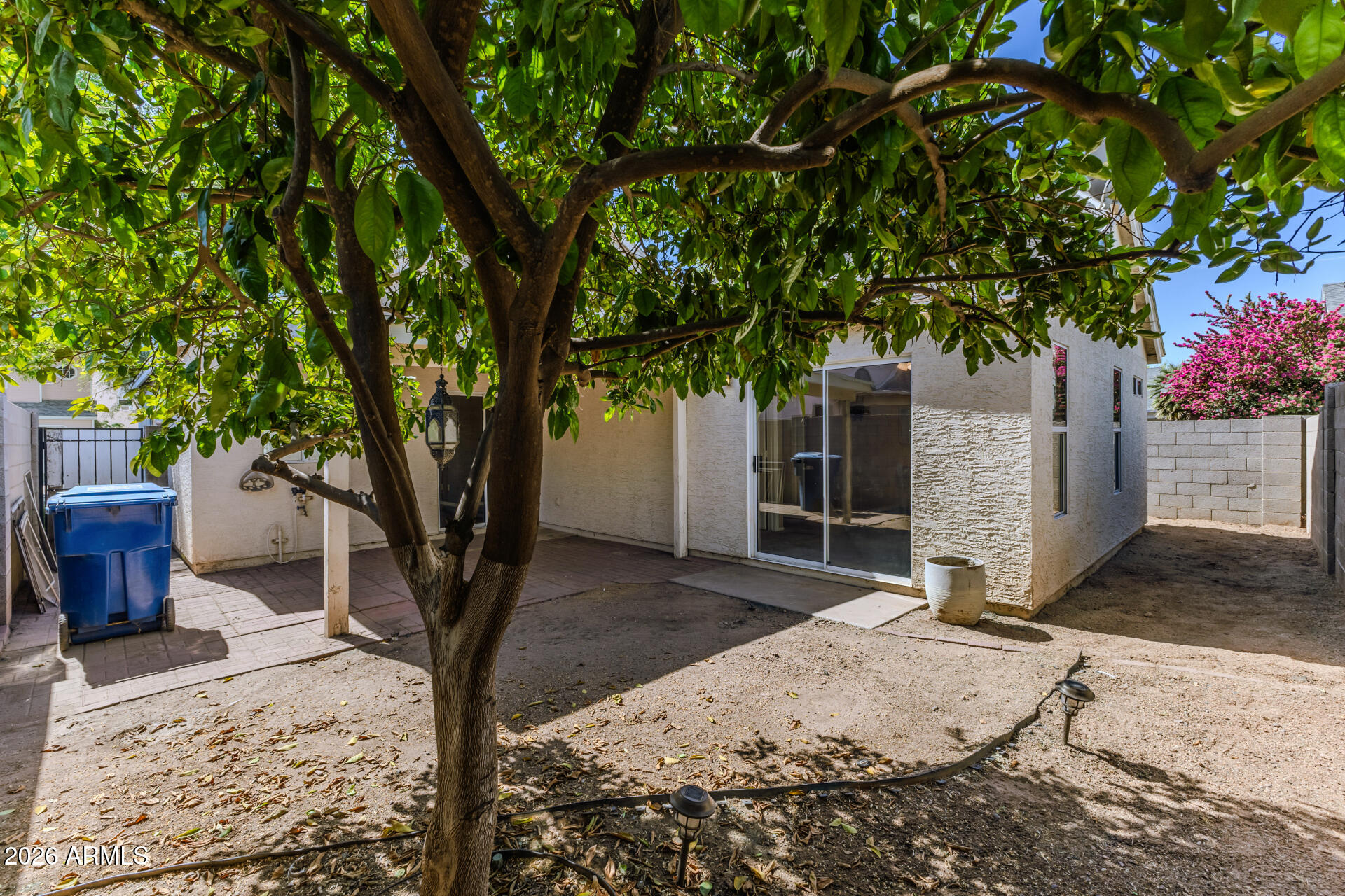 441 South Maple, Unit 86 Mesa, AZ 85206 - Photo 22 of 29 23 - Maple
