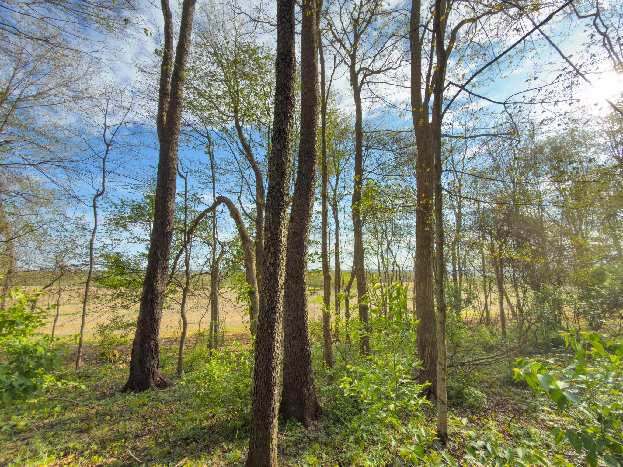 9874 Cincinnati-Zanesville Road Southwest Amanda, OH 43102 - Photo 18 of 50 cinci-zane rd sw-18