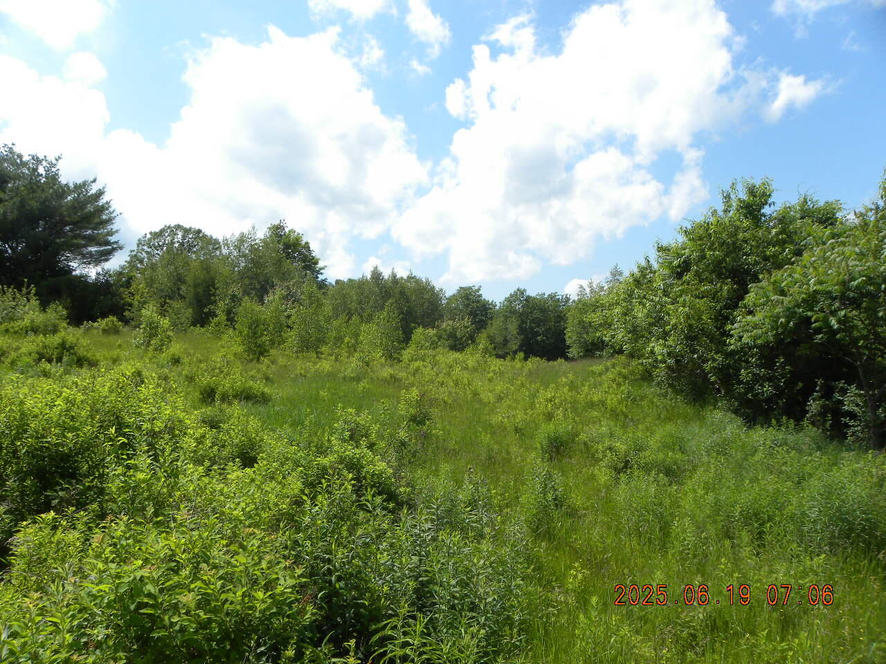 105 Garland Road West Newfield, ME 04095 - Photo 44 of 63 DSCN9412