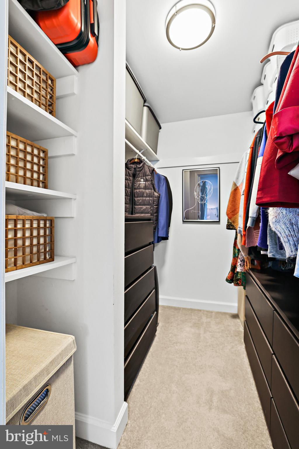 11096 Saffold Way Reston, VA 20190 - Photo 31 of 62 Custom closet and storage!