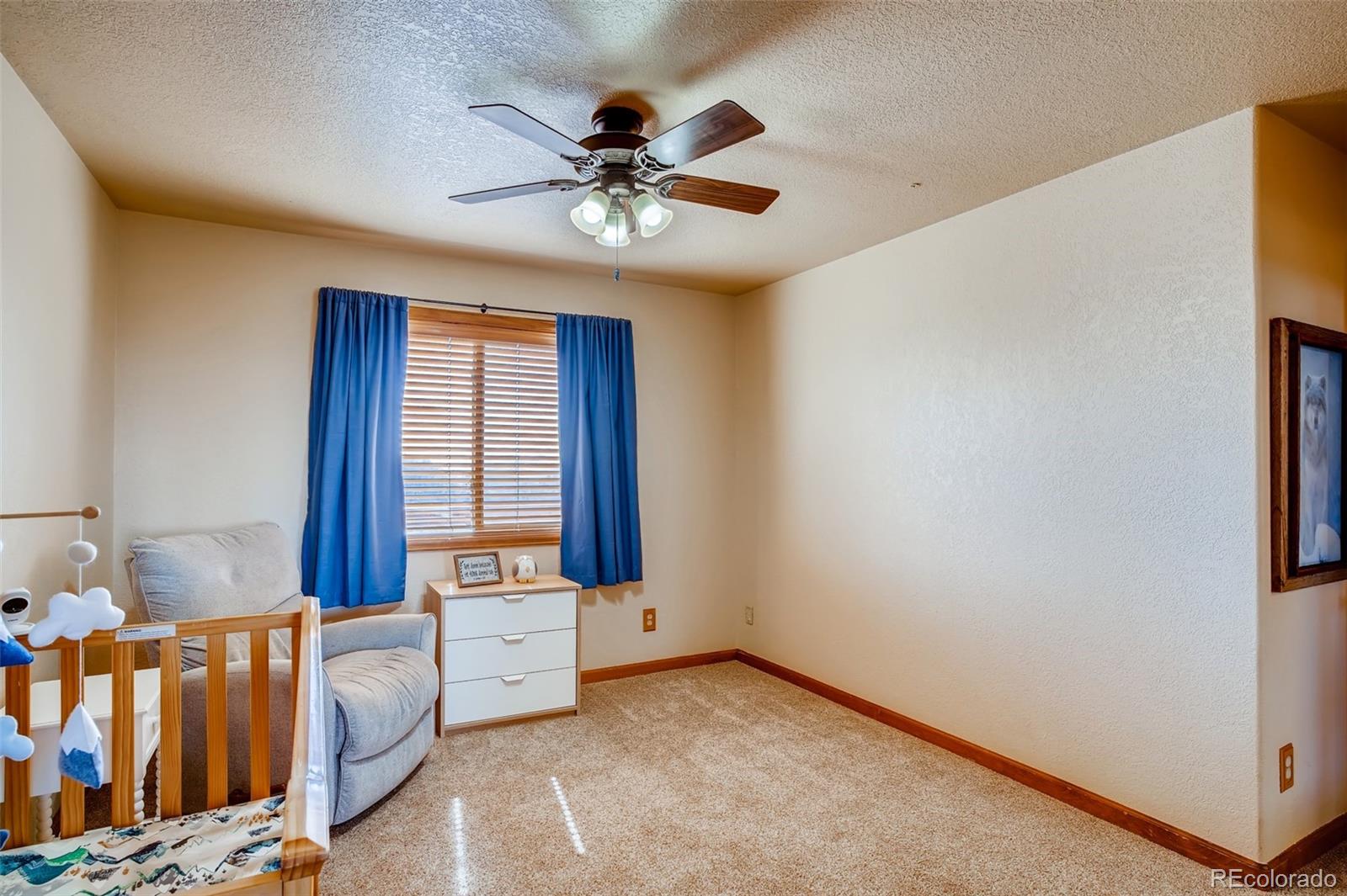 365 Bunny Road Bailey, CO 80421 - Photo 23 of 40 Gallery Image 23