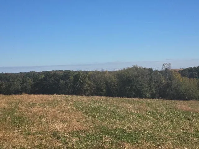 $360,000 | Mimosa, Wilton, WI 54670