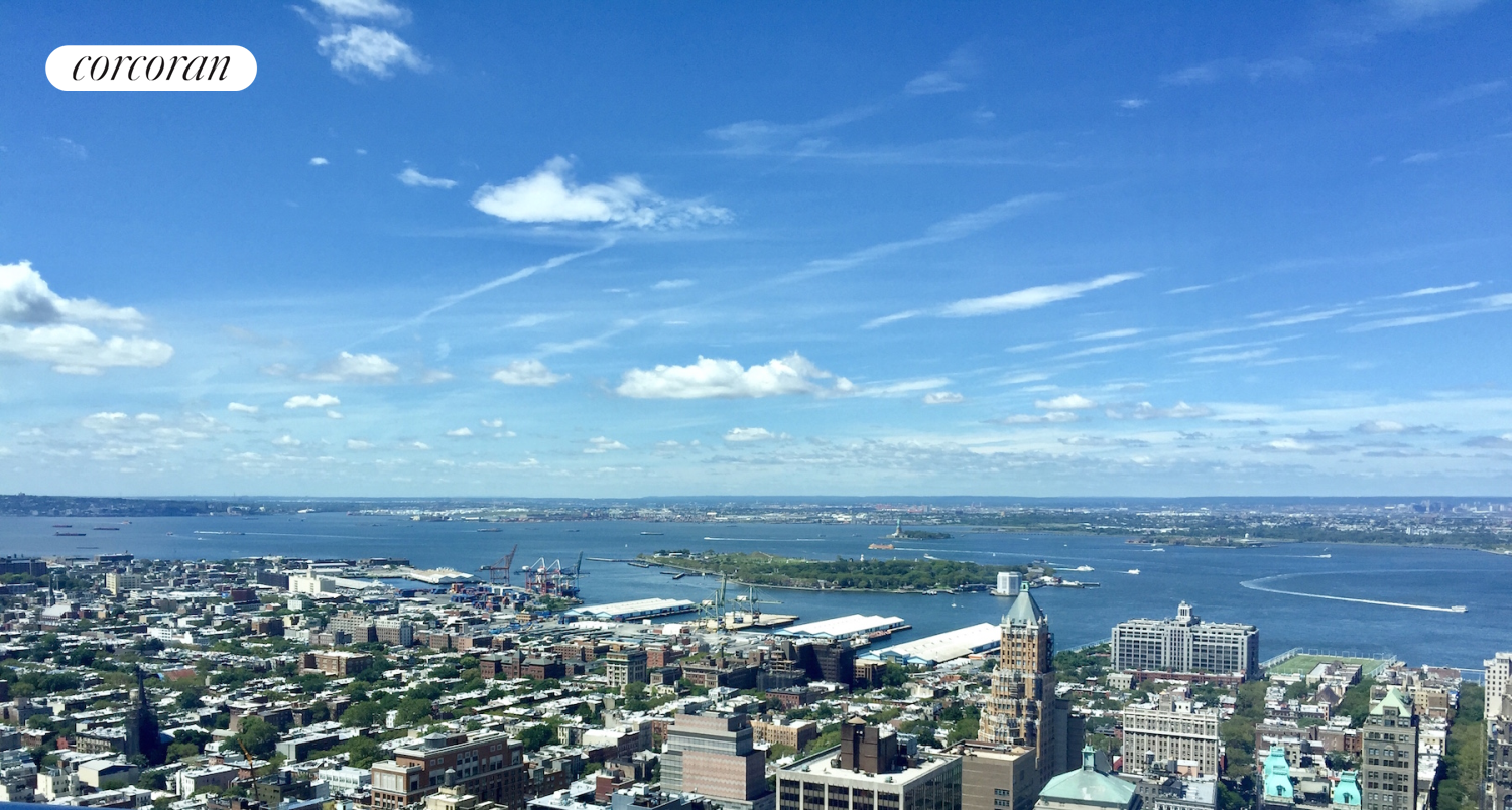 388 Bridge Street, Unit 43H Brooklyn, NY 11201 - Photo 1 of 14 a view of a city