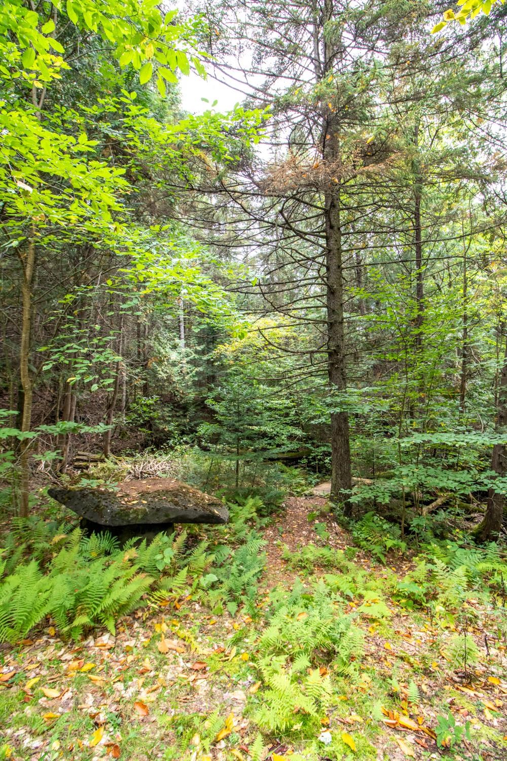 1109 Andersonville Road Glover, VT 05875 - Photo 30 of 40