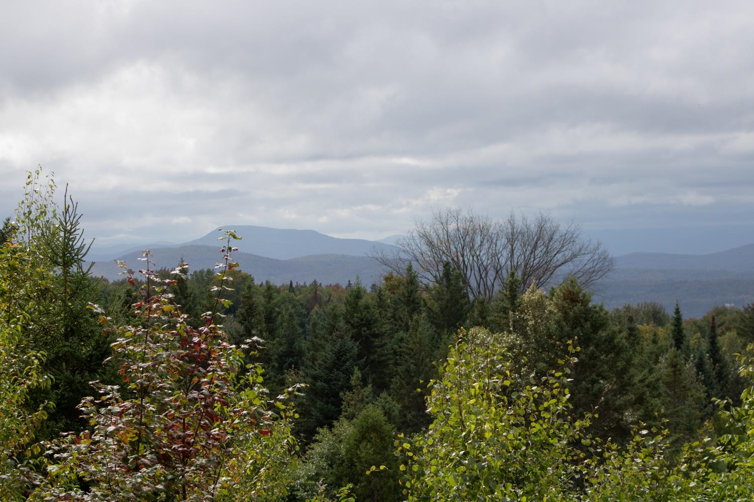 1109 Andersonville Road Glover, VT 05875 - Photo 36 of 40