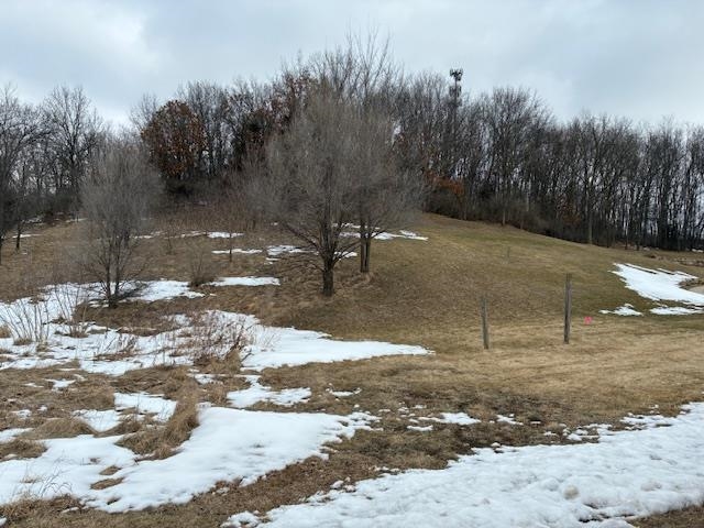 2056 Handel Street Black Earth, WI 53515 - Photo 2 of 5