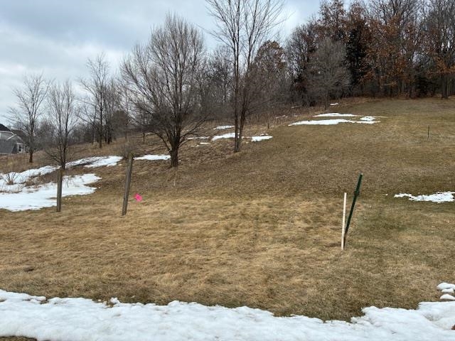 2056 Handel Street Black Earth, WI 53515 - Photo 4 of 5