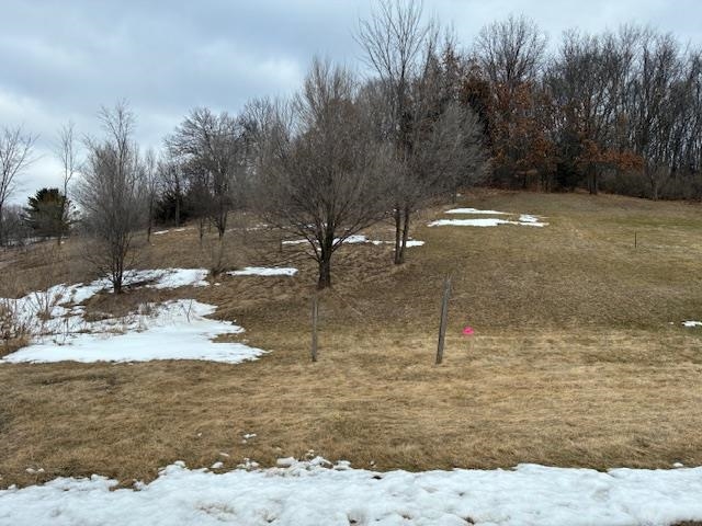 2056 Handel Street Black Earth, WI 53515 - Photo 5 of 5