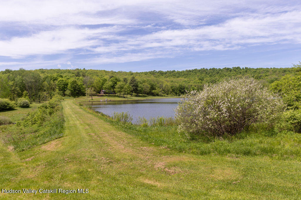 540 Sal Bren Road Meredith, NY 13753 - Photo 46 of 53 540-Sal-Bren-Rd_133