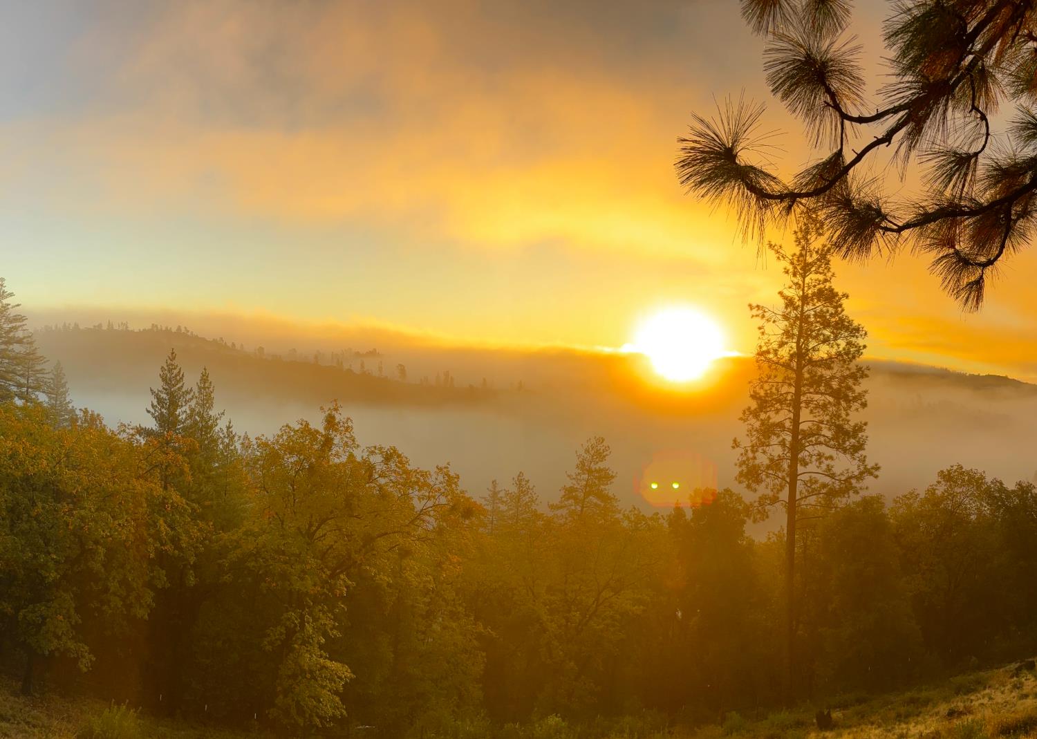 20111 Tanglewood Road Grass Valley, CA 95945 - Photo 49 of 93