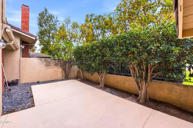 a view of backyard with large trees and flower plants