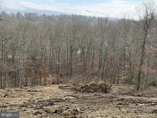 a view of a backyard of the house