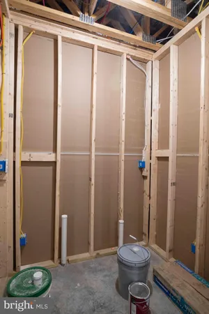 a view of a trees in a yard