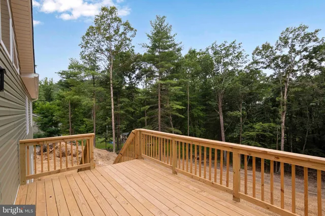 a view of a backyard with large trees