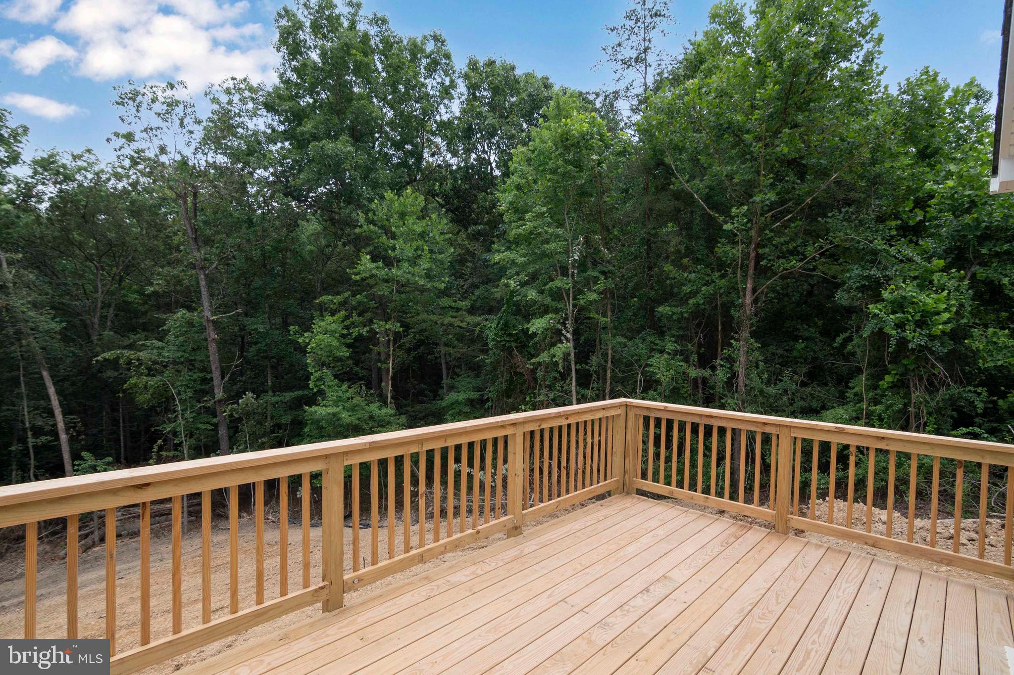 59 Old Oregon Road Front Royal, VA 22630 - Photo 36 of 78 a view of roof deck
