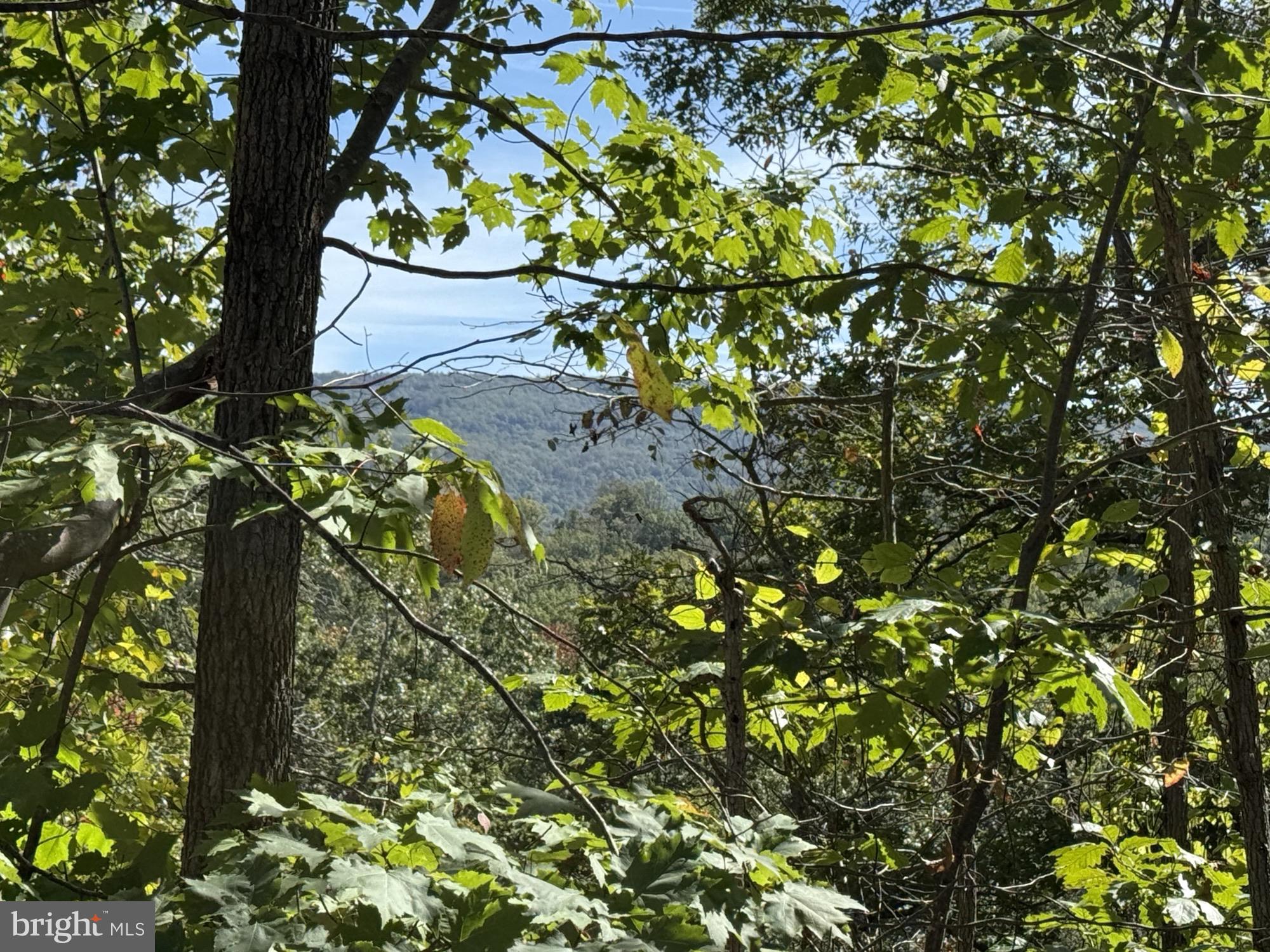 59 Old Oregon Road Front Royal, VA 22630 - Photo 4 of 76