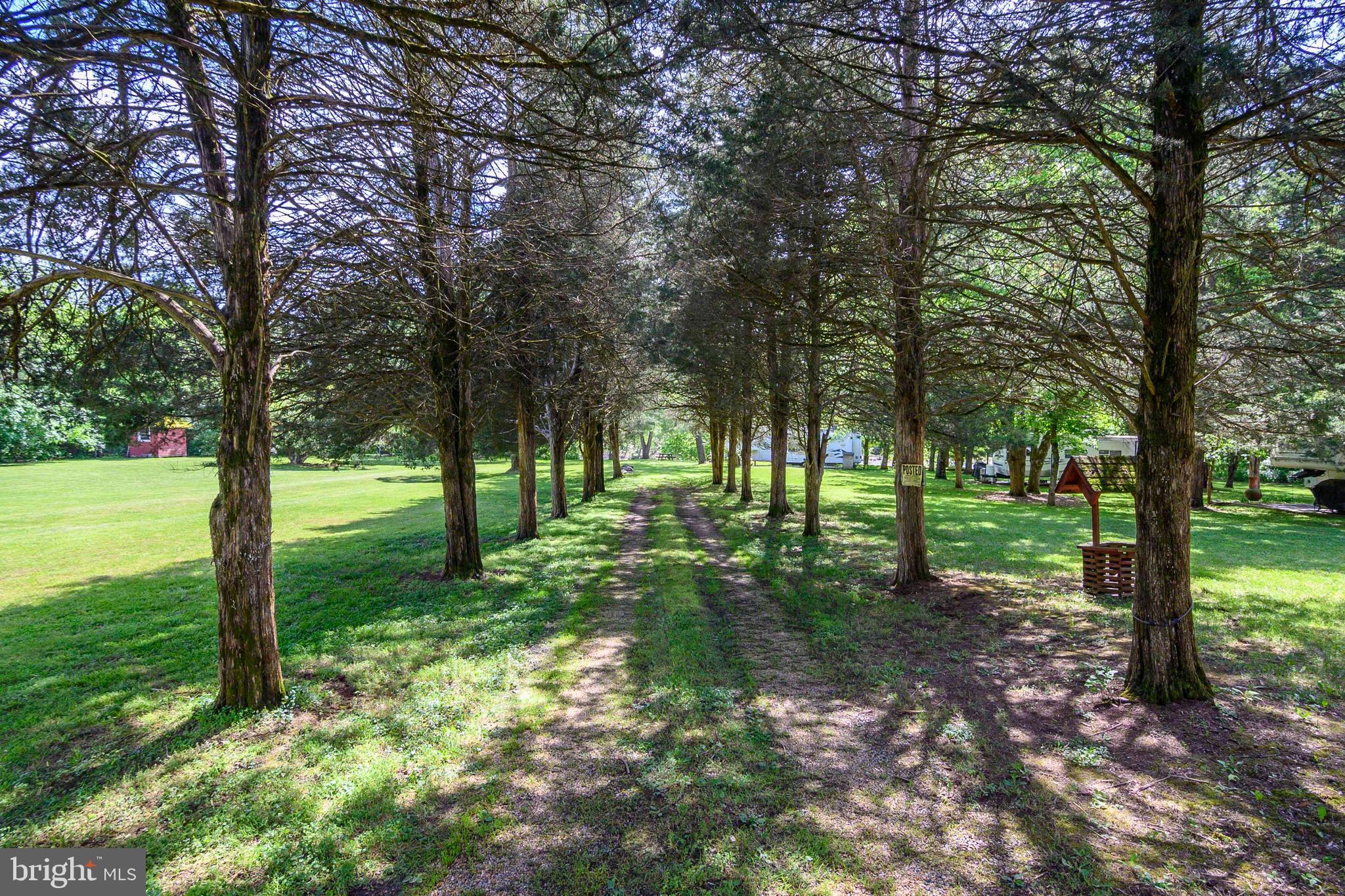 59 Old Oregon Road Front Royal, VA 22630 - Photo 49 of 76 a view of a trees in a yard
