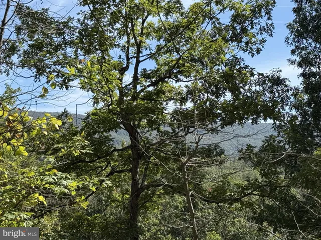 a view of a house with backyard and deck