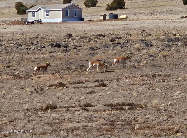 a view of a backyard of a house