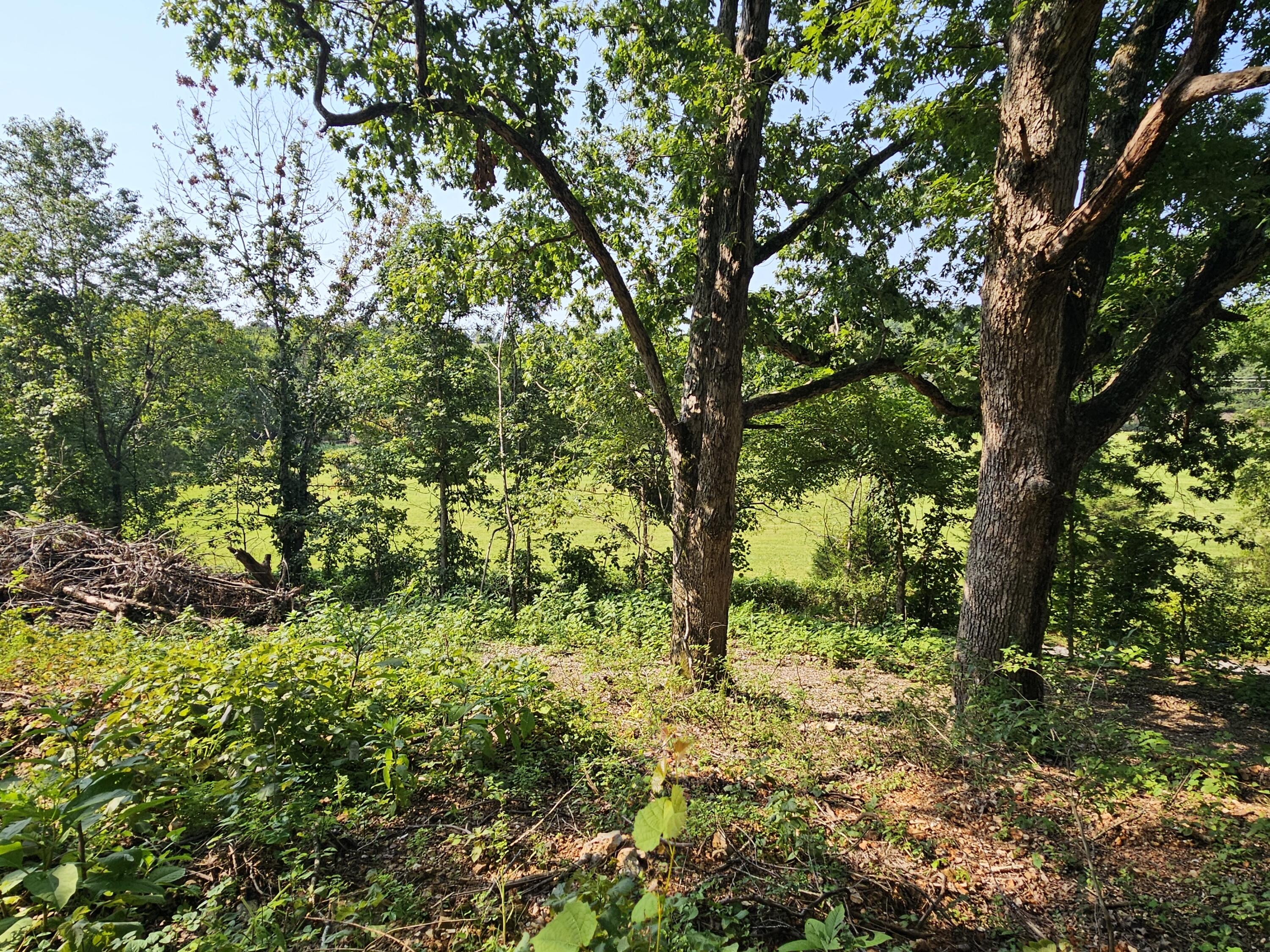 0 McLean Road Ozark, MO 65721 - Photo 8 of 14 1000034178