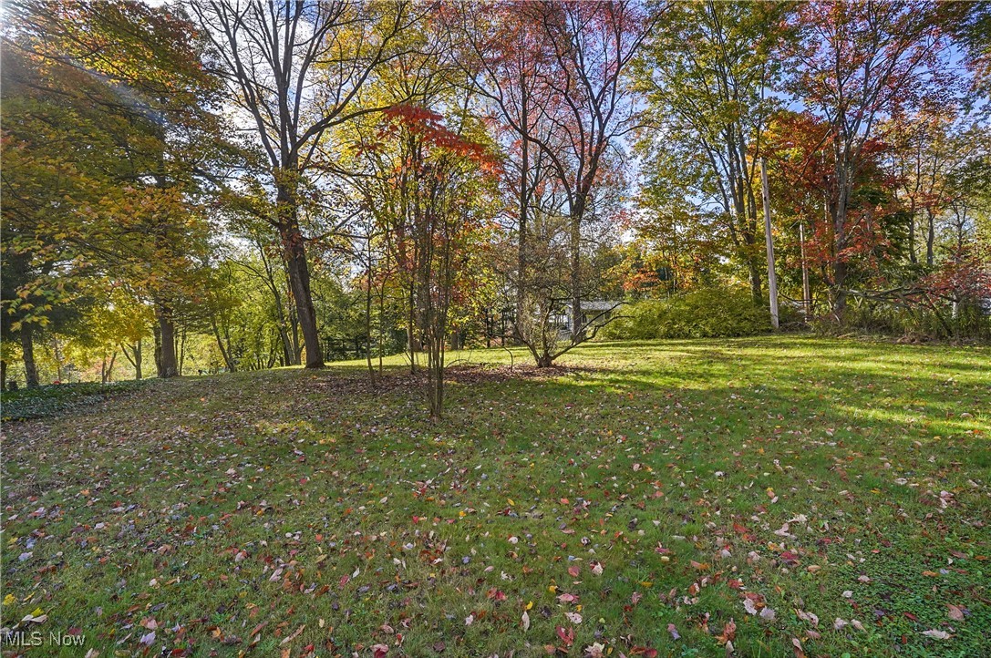 6101 Ridgeview Drive Hanoverton, OH 44423 - Photo 43 of 50 Gallery Image 43