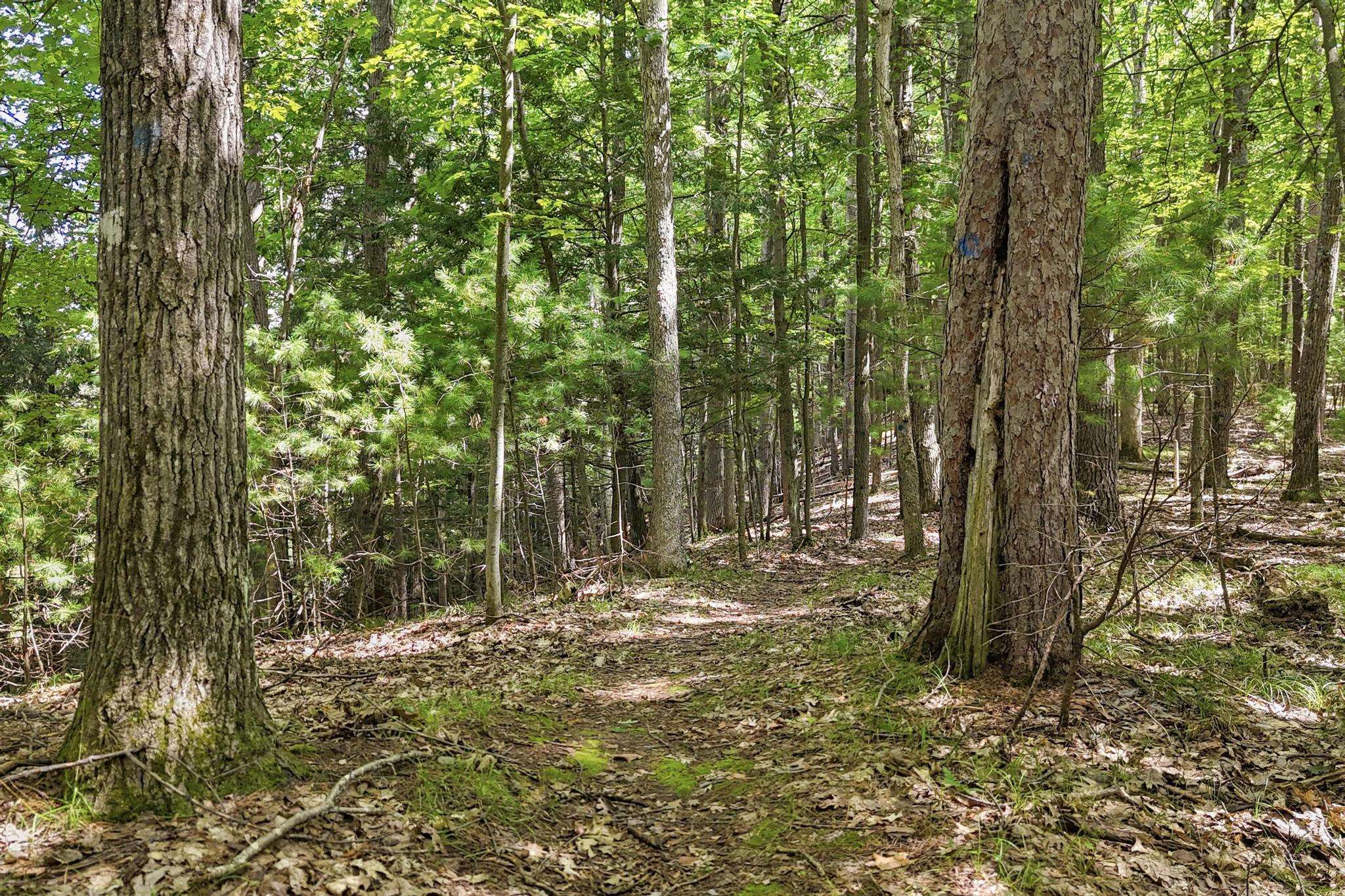 330 Rasho Road Traverse City, MI 49696 - Photo 43 of 45 1951015-1FA760F9-D1B5-40E0-A114-E6797CA6DDCD.JPG